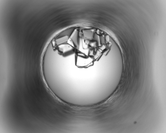 X0000096661488200802261331