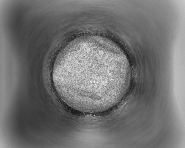 X0000096661489200802261331