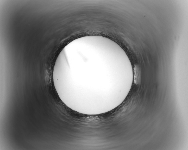 X0000096661491200802261331