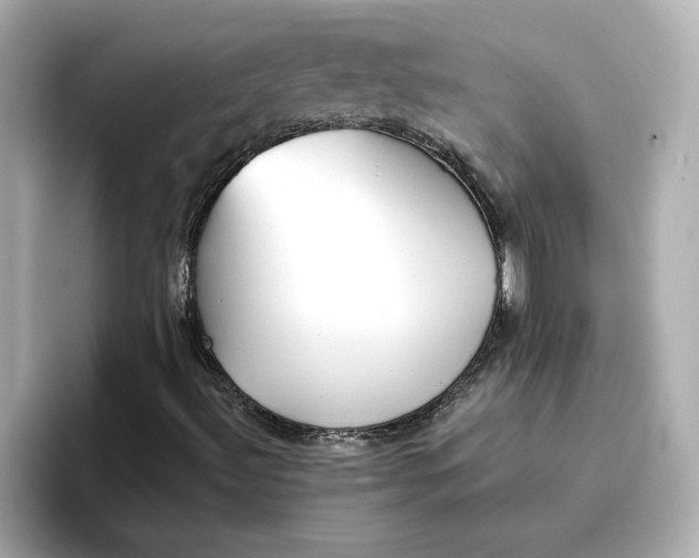 X0000096661492200802261331