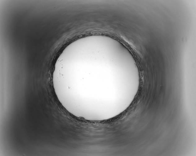 X0000096661495200802261331