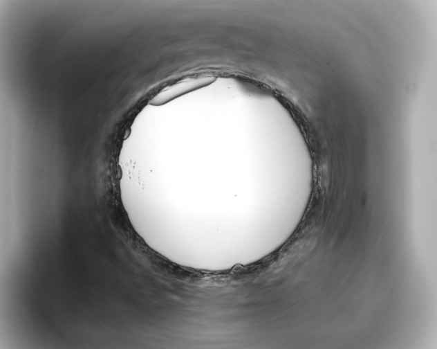 X0000096661496200802261331