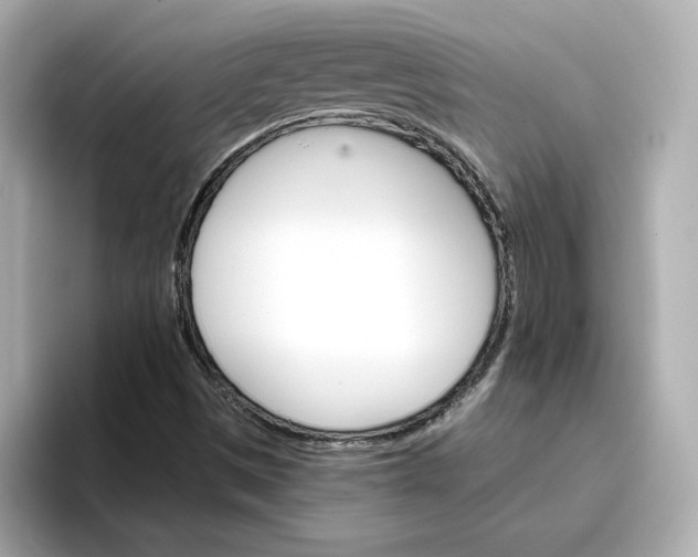 X0000096661497200802261331