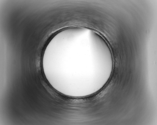 X0000096661499200802261331