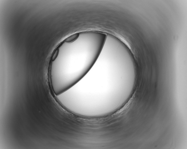 X0000096661500200802261331