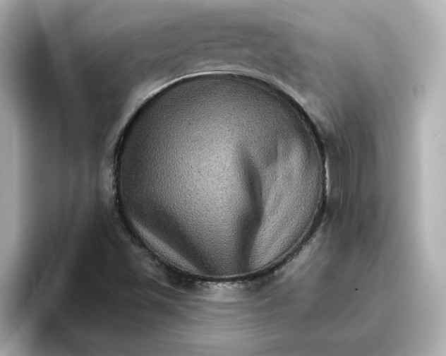 X0000096661501200802261331