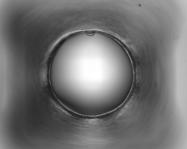 X0000096661502200802261331