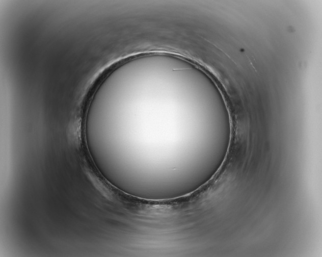 X0000096661503200802261331