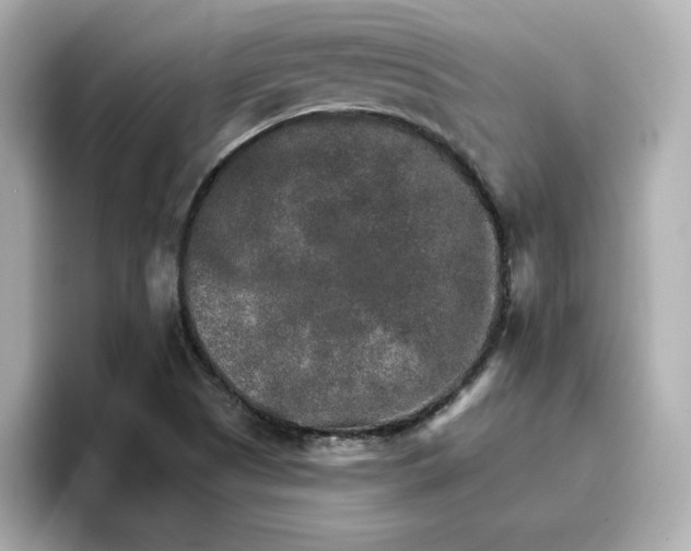 X0000096661505200802261331