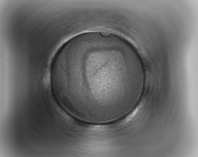 X0000096661506200802261331