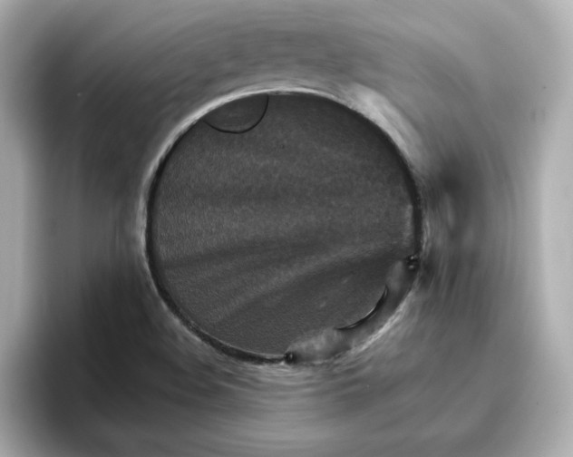 X0000096661508200802261331