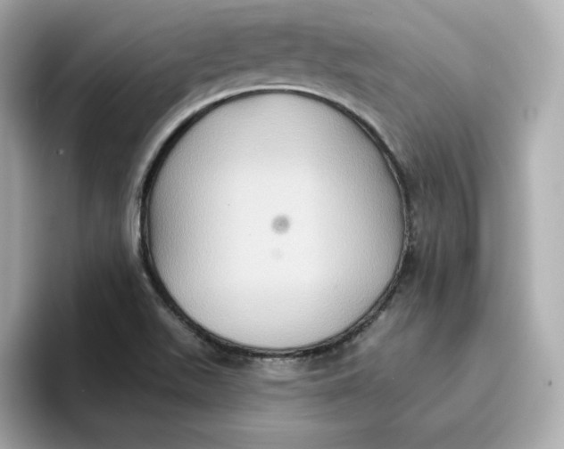 X0000096661511200802261331