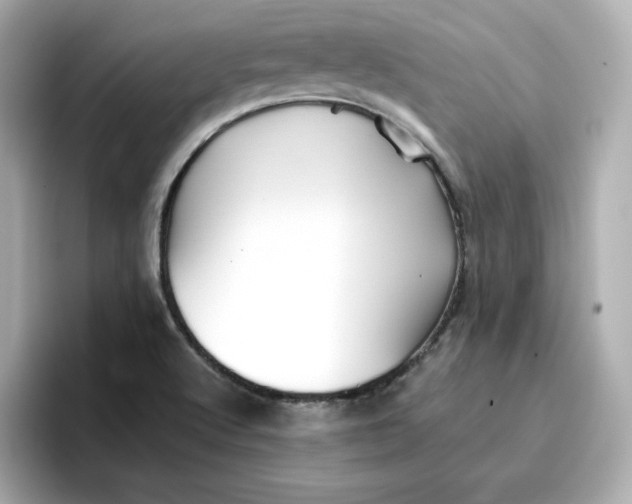 X0000096661512200802261331