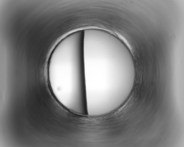 X0000096661516200802261331