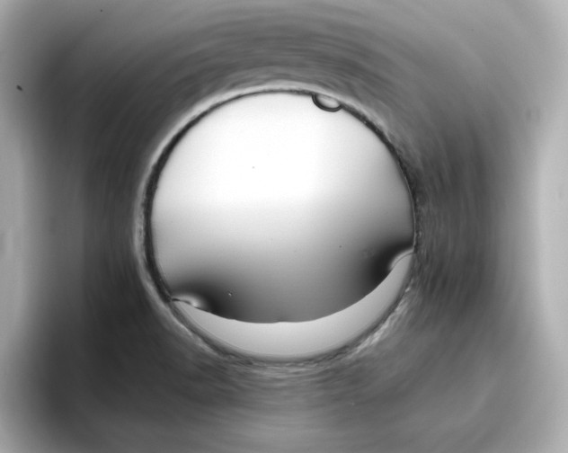 X0000096661518200802261331