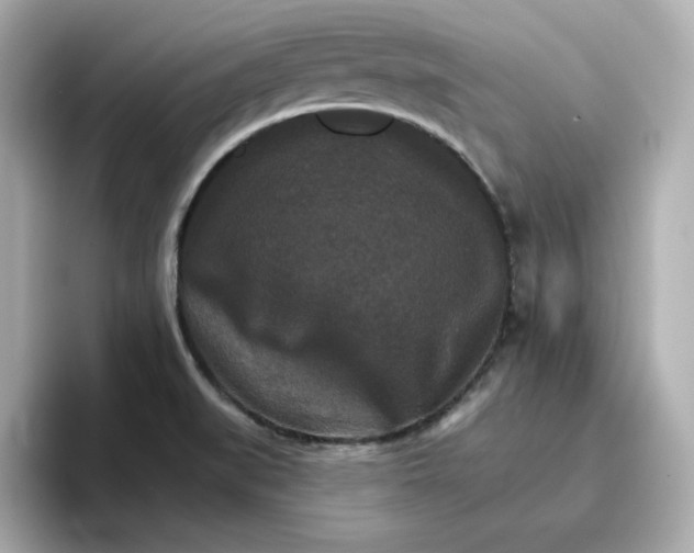 X0000096661519200802261331