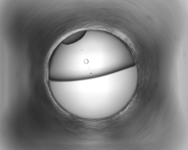 X0000096661520200802261331