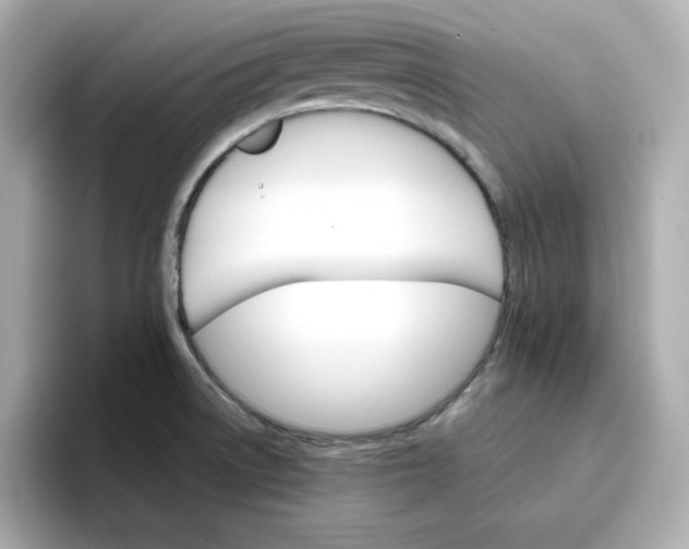 X0000096661522200802261331