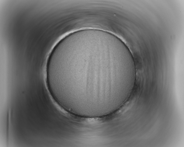 X0000096661523200802261331