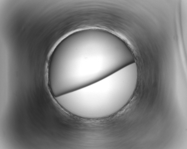 X0000096661524200802261331