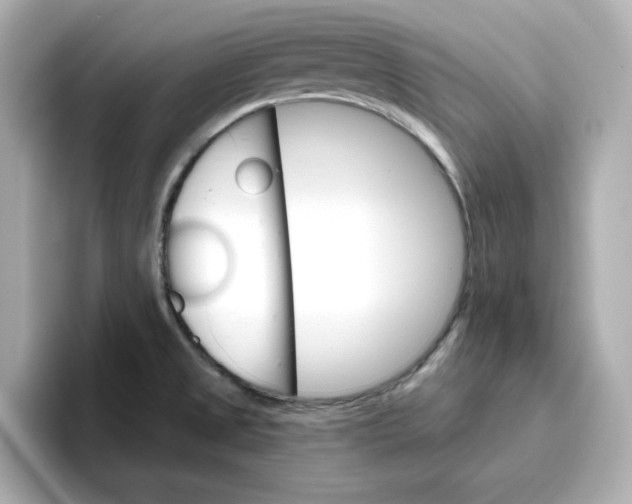 X0000096661525200802261331