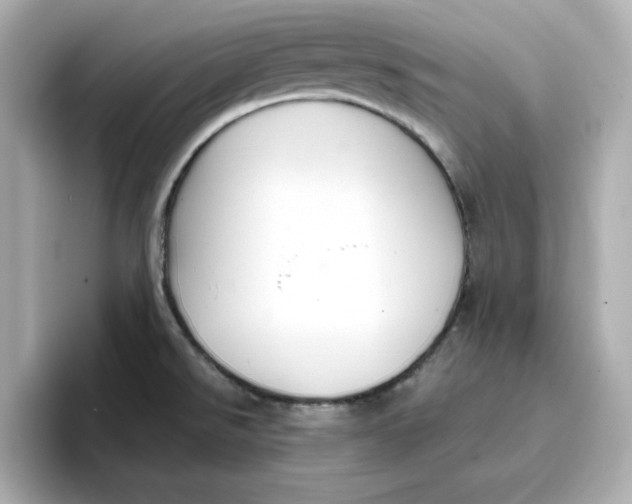 X0000096661526200802261331