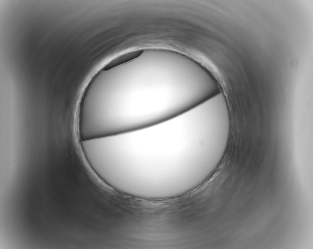 X0000096661528200802261331