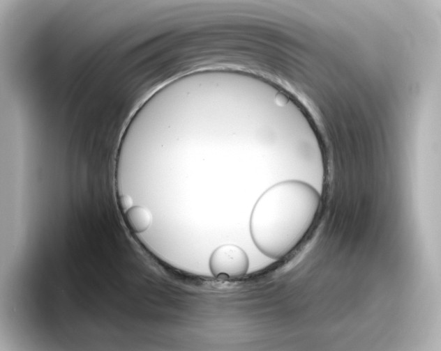 X0000096661529200802261331