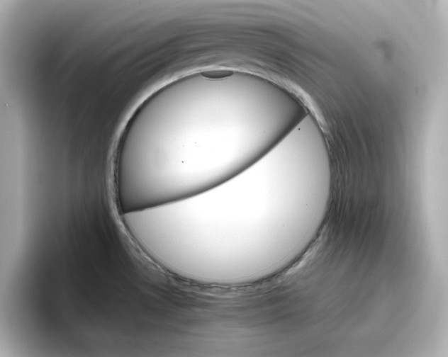 X0000096661530200802261331