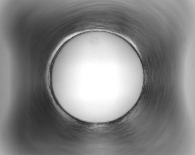 X0000096661531200802261331