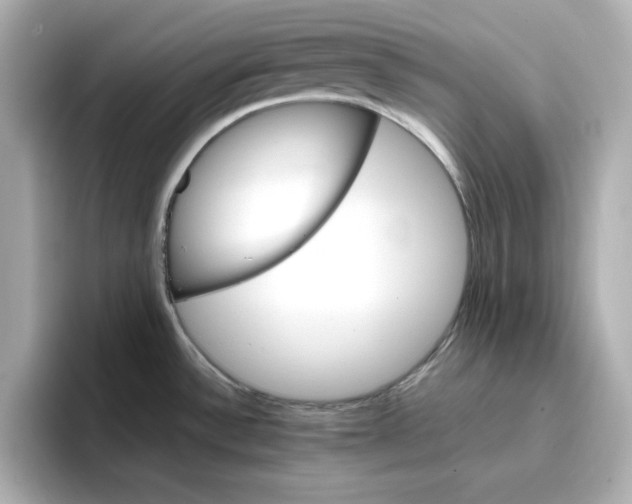 X0000096661532200802261331