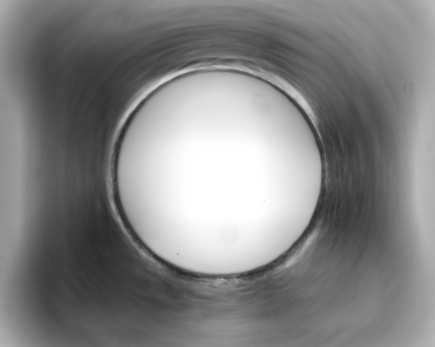 X0000096661533200802261331