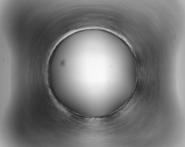 X0000096661534200802261331