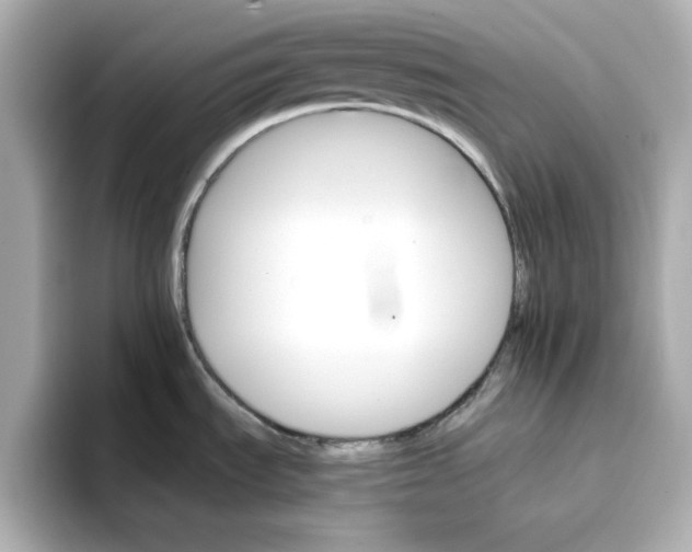 X0000096661535200802261331