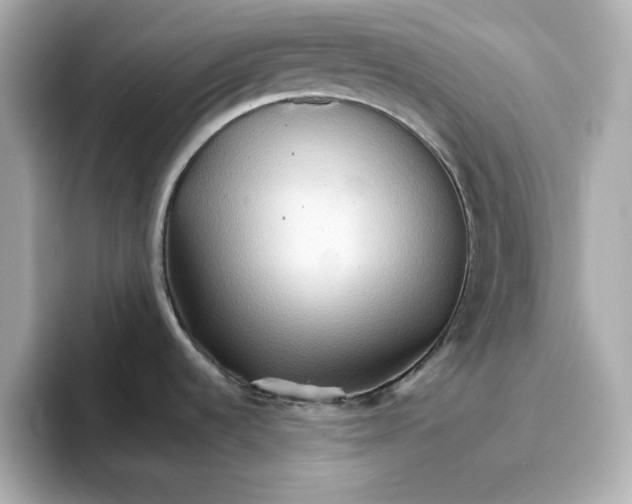 X0000096661536200802261331