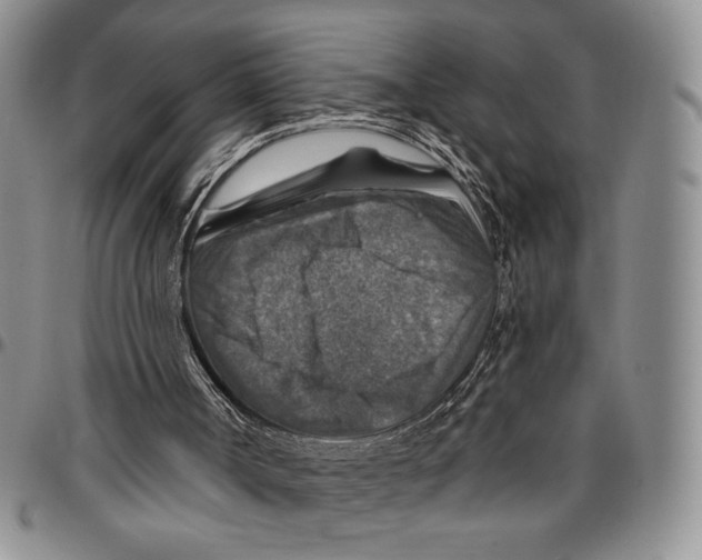 X0000096660002200803041210