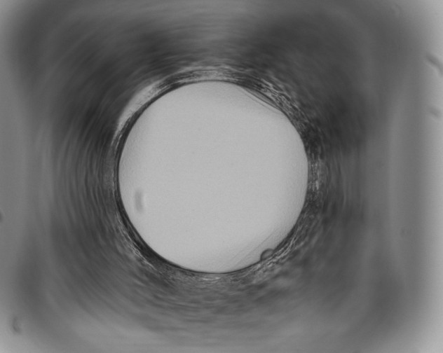 X0000096660004200803041210