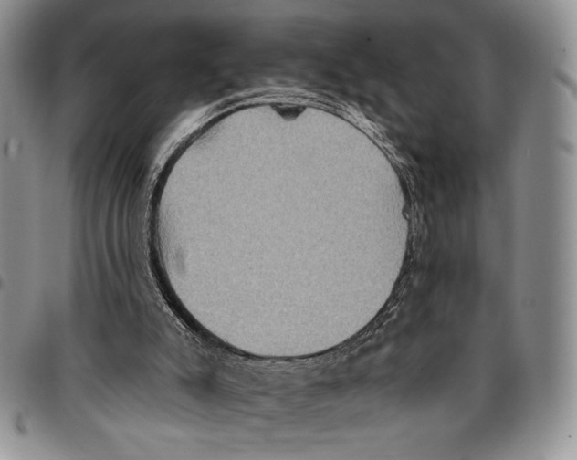 X0000096660007200803041210