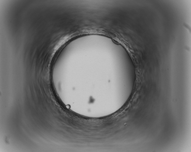 X0000096660008200803041210