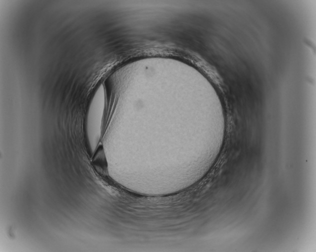 X0000096660009200803041210