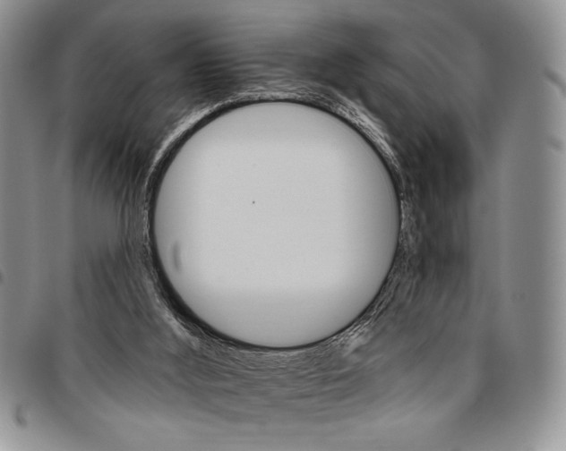 X0000096660012200803041210