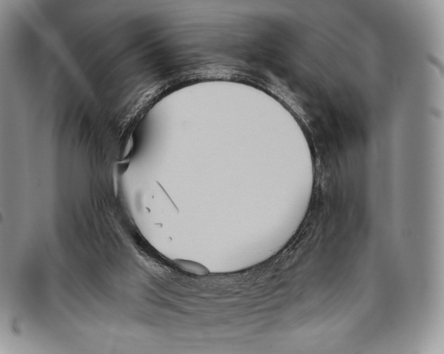 X0000096660013200803041210