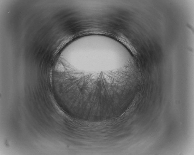 X0000096660014200803041210