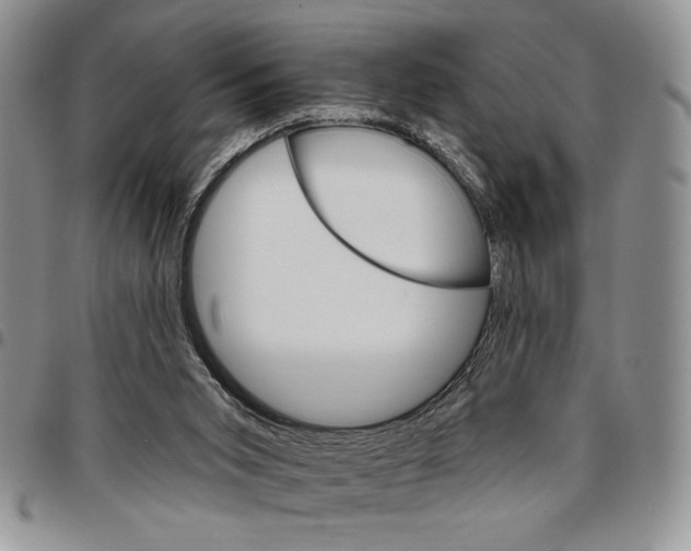 X0000096660015200803041210