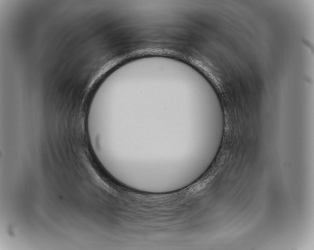 X0000096660016200803041210