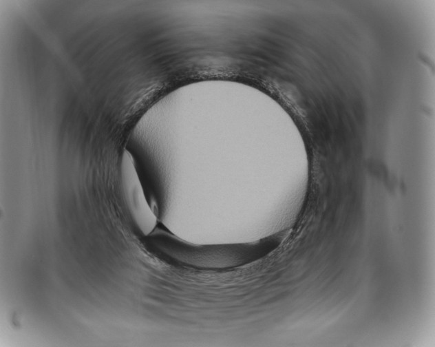 X0000096660017200803041210