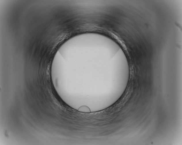 X0000096660018200803041210