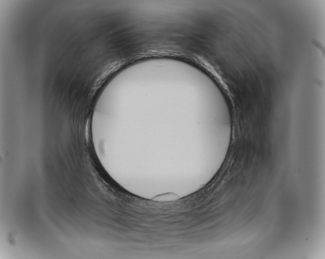 X0000096660019200803041210