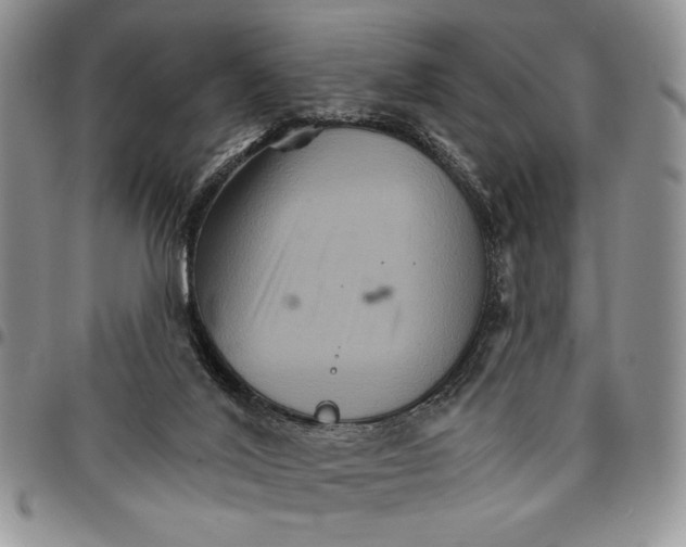 X0000096660020200803041210