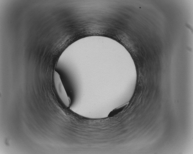 X0000096660021200803041210